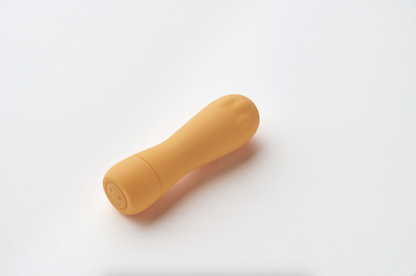 The Surfer Minivibrator